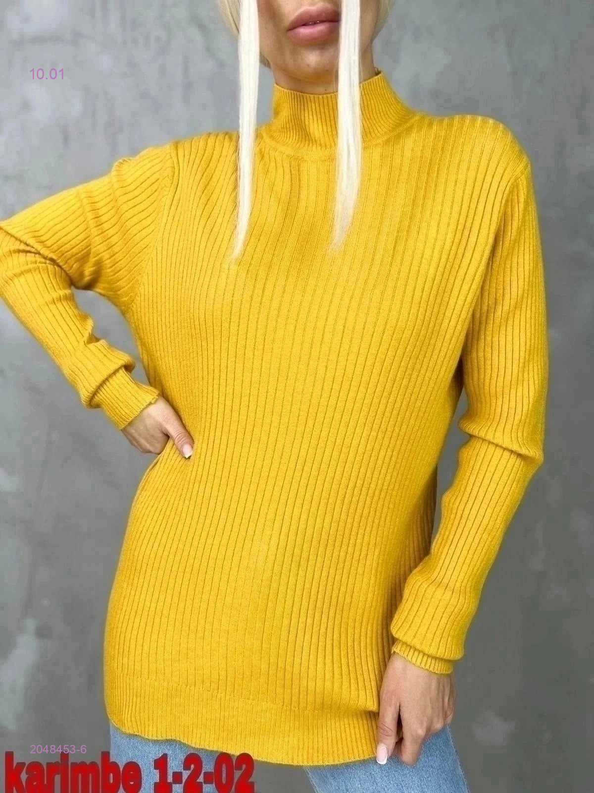 Водолазка 2048453-6