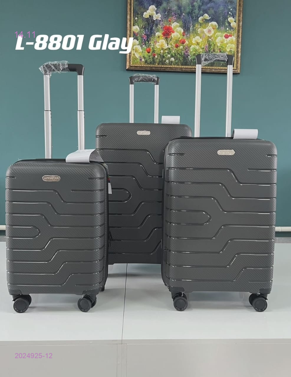 Чемодан 2024925-12