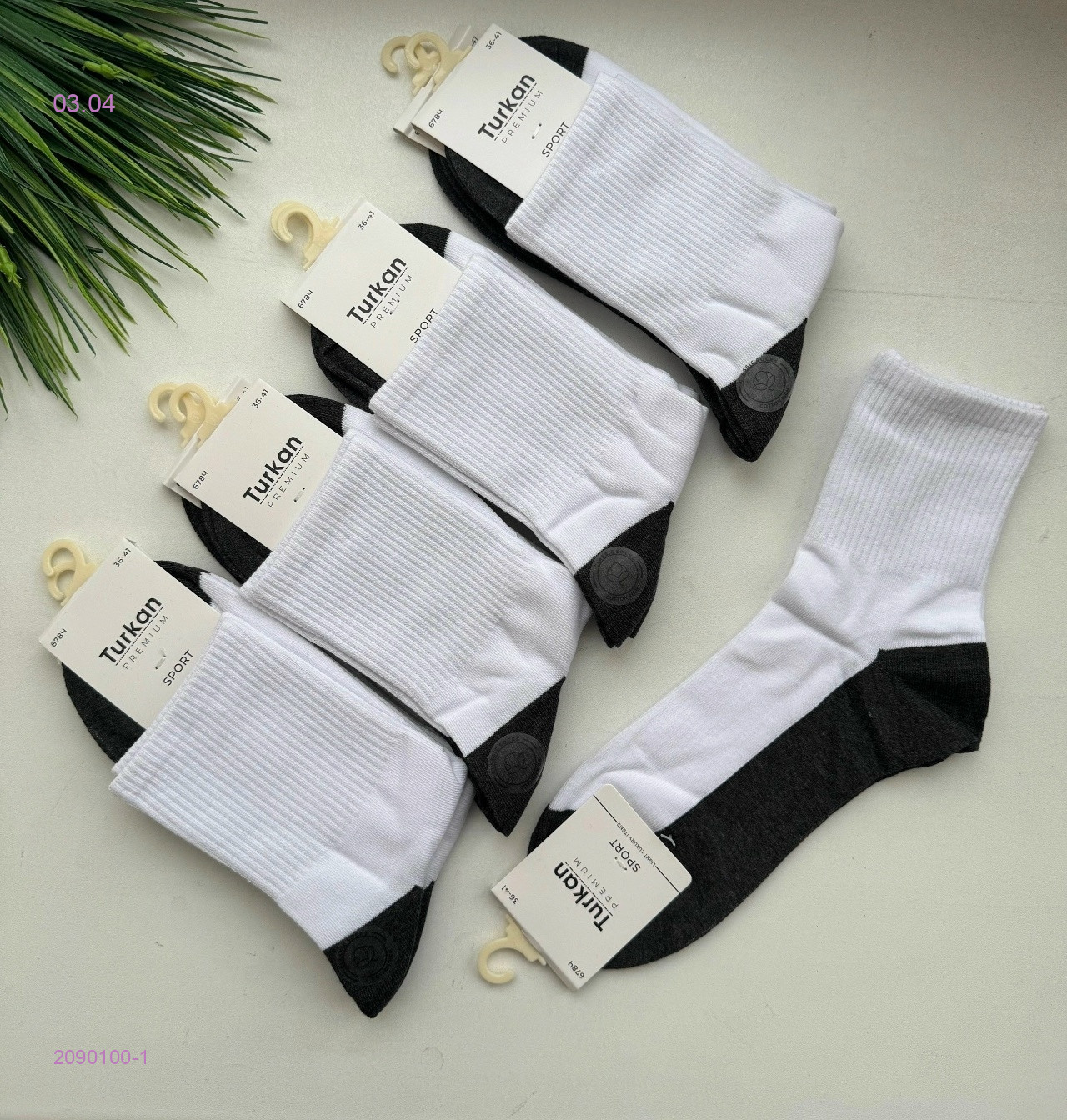 Носки женские 10 пар 2090100-1