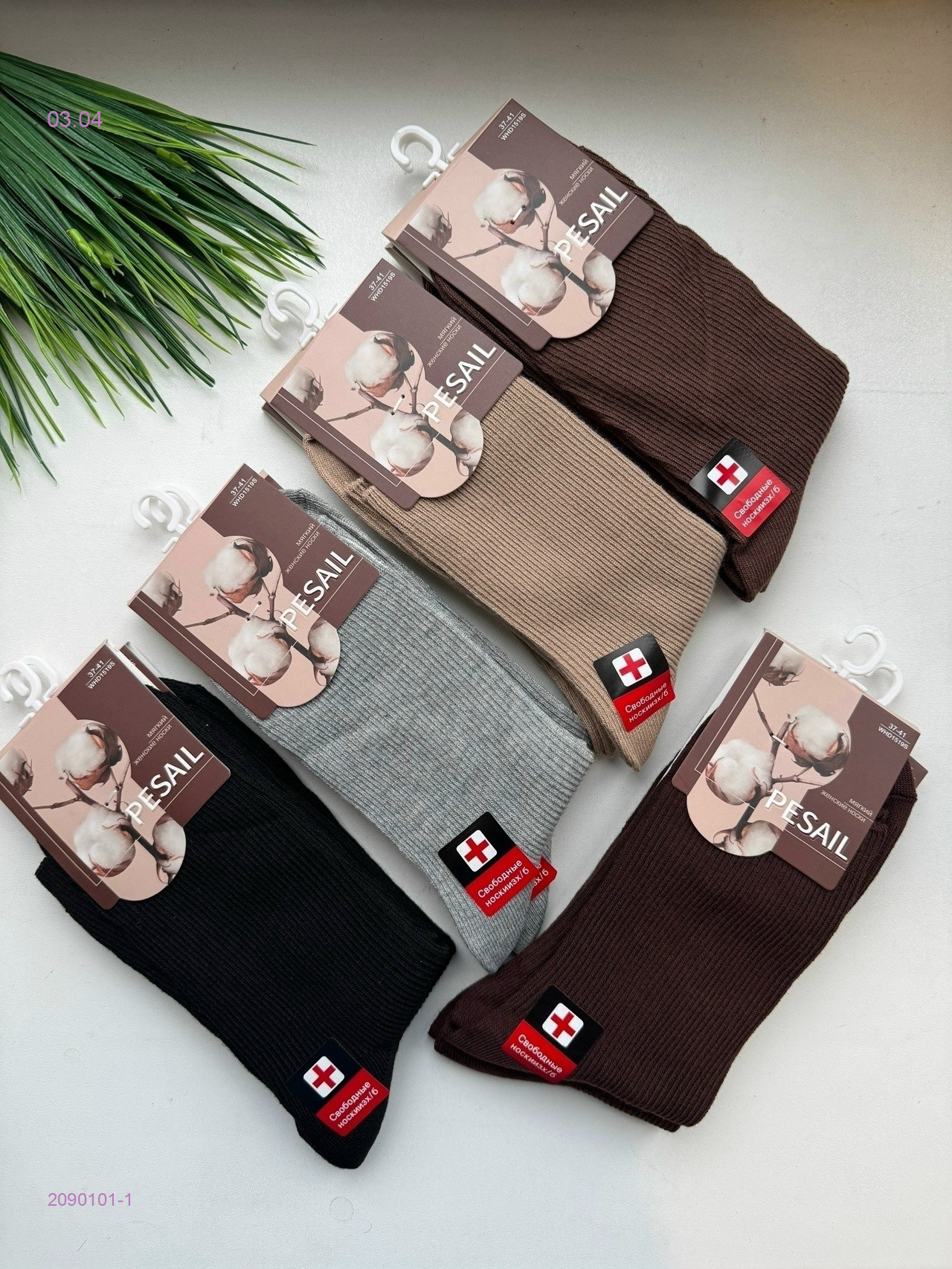 Носки женские 10 пар 2090101-1