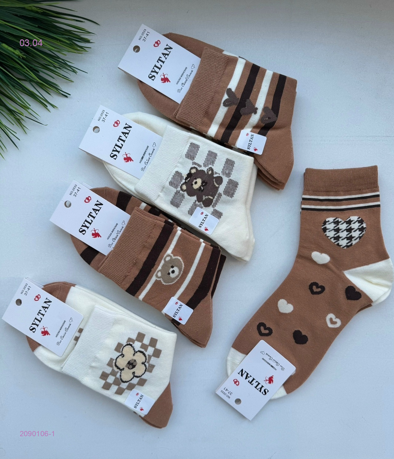 Носки женские 10 пар 2090106-1