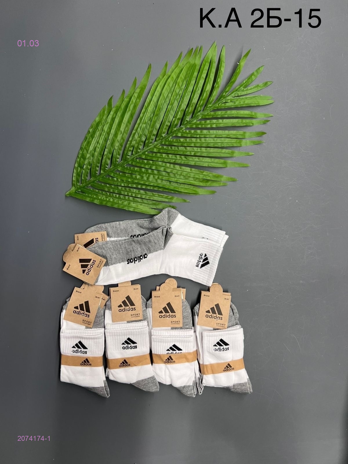 Носки женские 10 пар 2074174-1