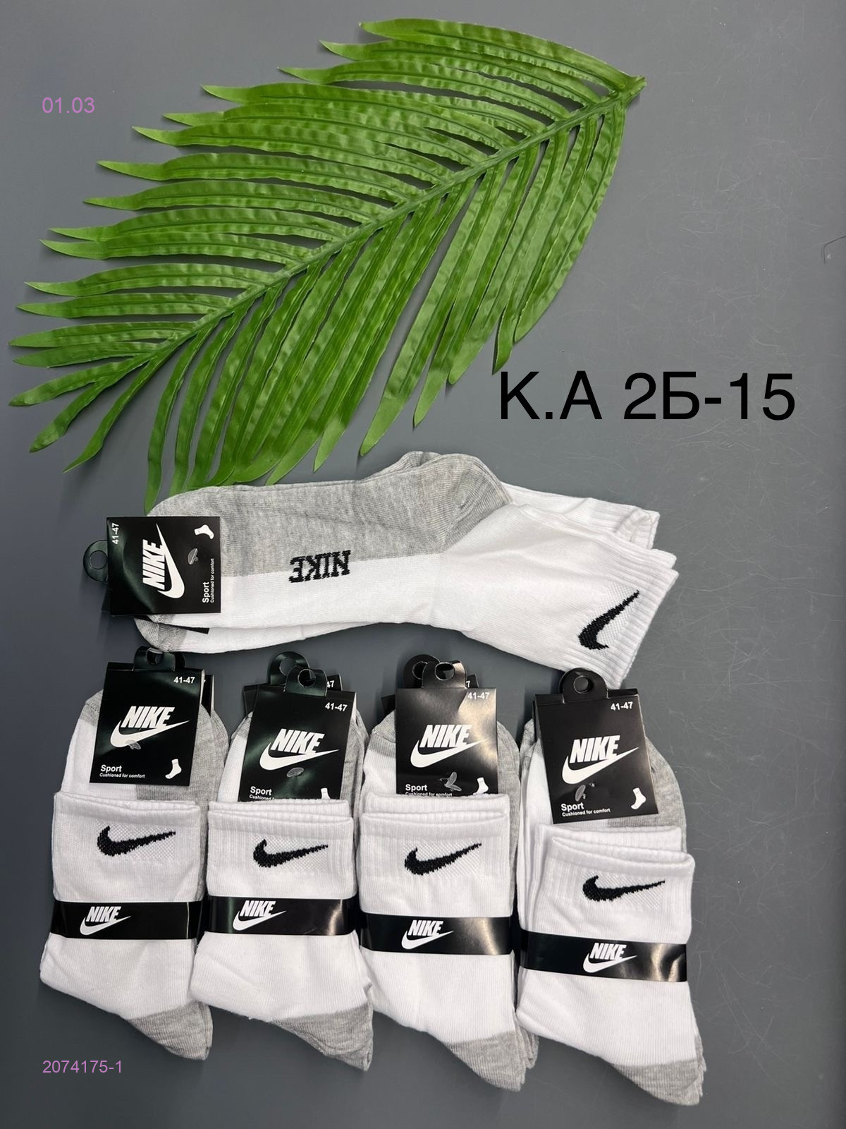 Носки мужские 10 пар 2074175-1