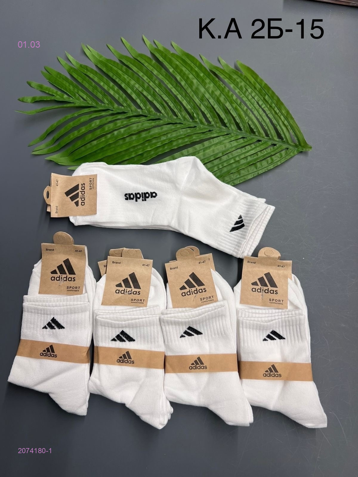 Носки мужские 10 пар 2074180-1