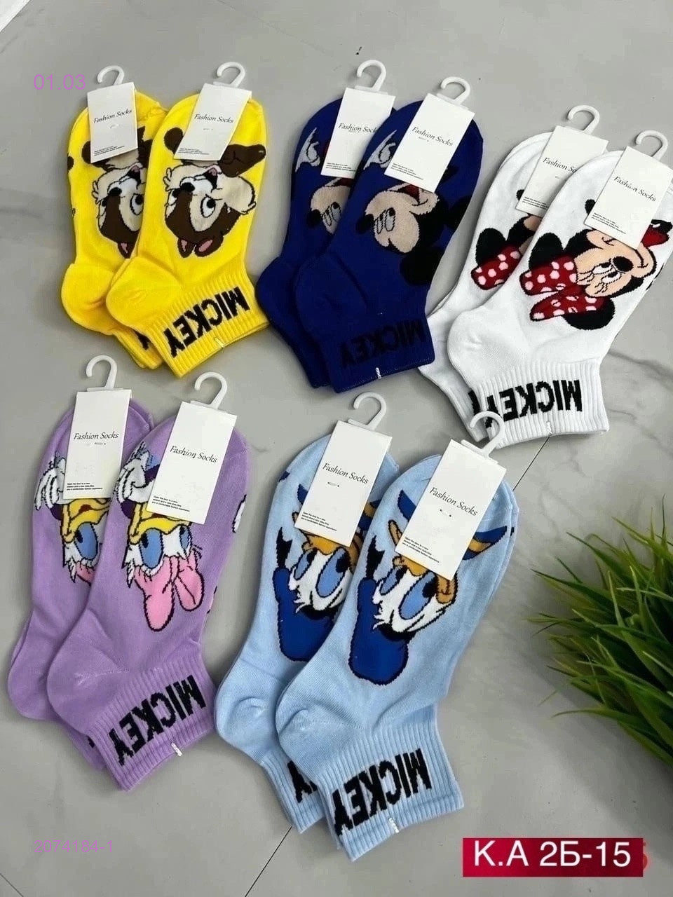 Носки женские 10 пар 2074184-1