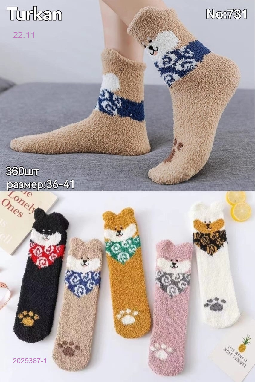 Носки женские 10 пар 2029387-1