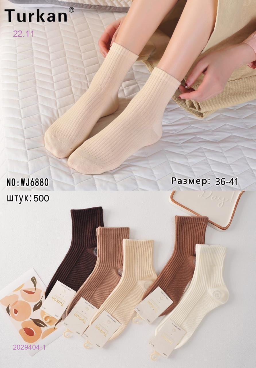 Носки женские 10 пар 2029404-1