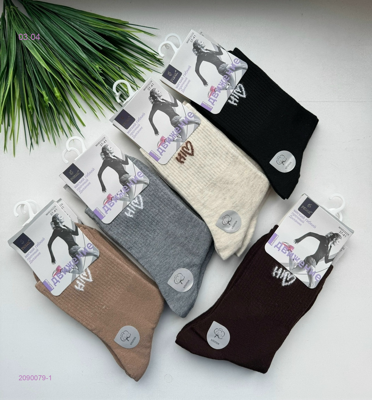 Носки женские 10 пар 2090079-1