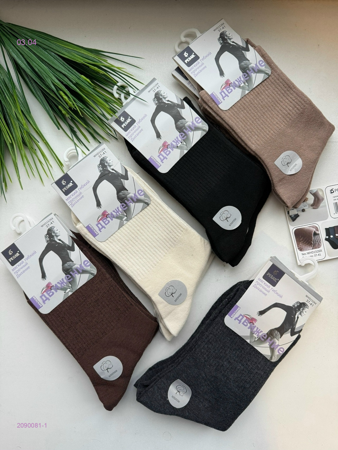 Носки женские 10 пар 2090081-1
