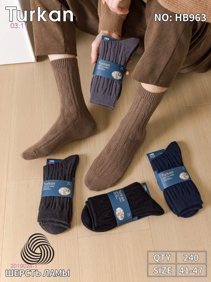 Носки мужские 10 пар 2019024-1