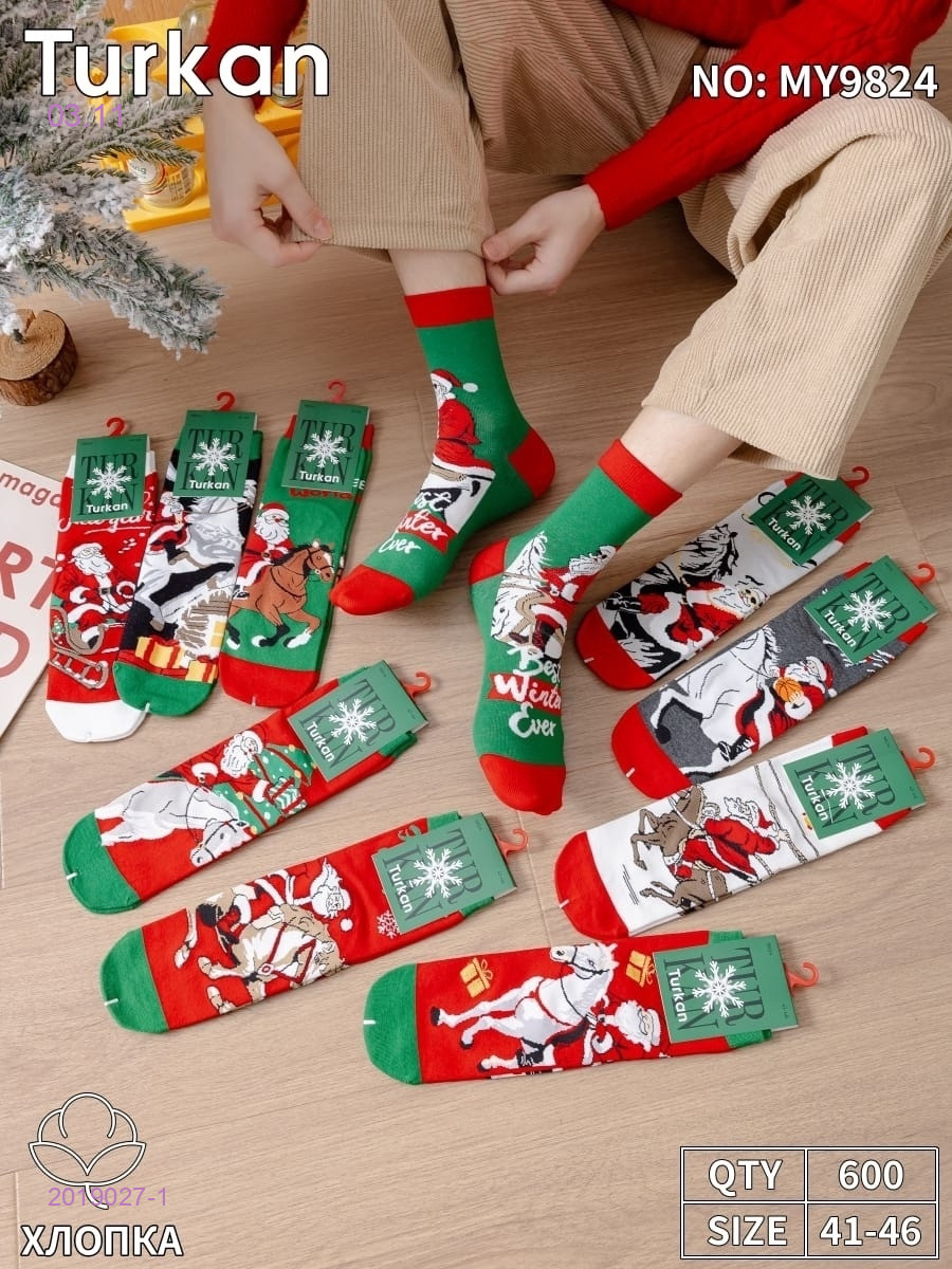 Носки мужские 10 пар 2019027-1