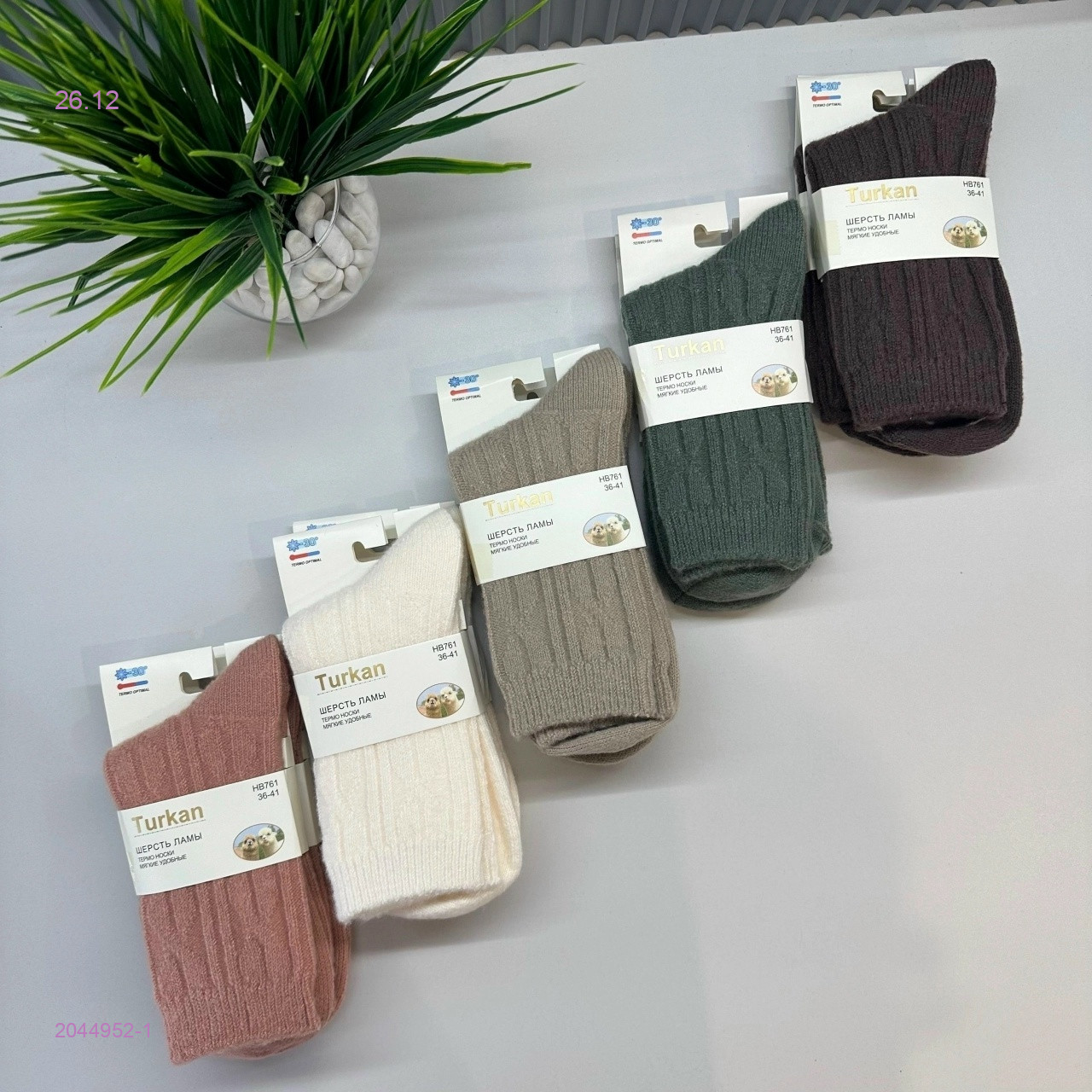 Носки женские 10 пар 2044952-1