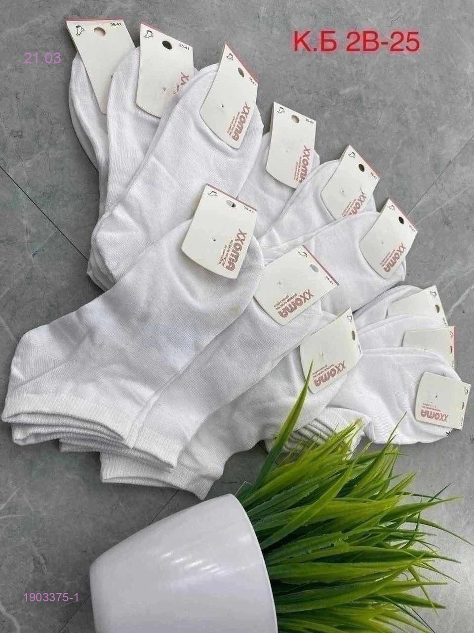 Носки женские 10 пар 1903375-1
