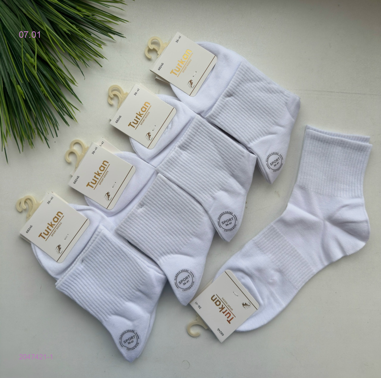 Носки женские 10 пар 2047421-1