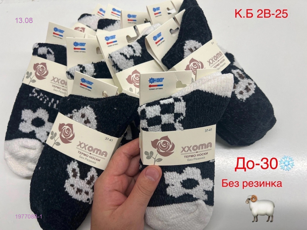 Носки женские 10 пар 1977088-1