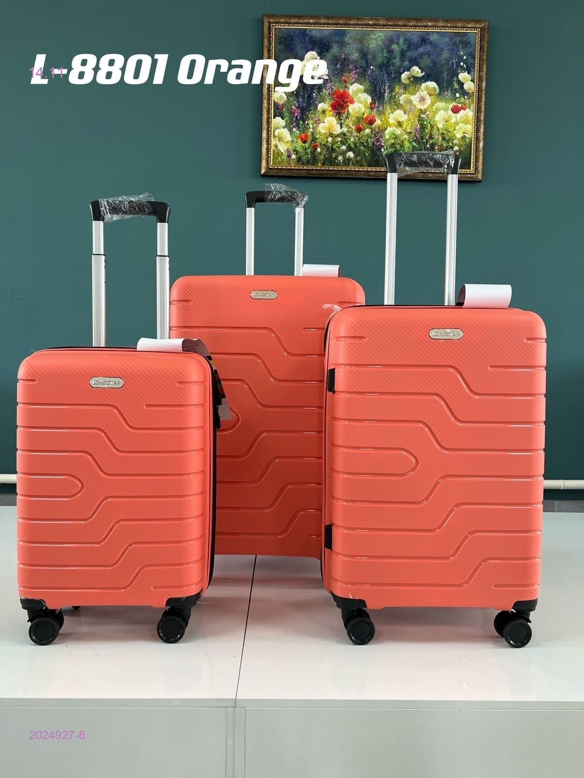 Чемодан 2024927-6