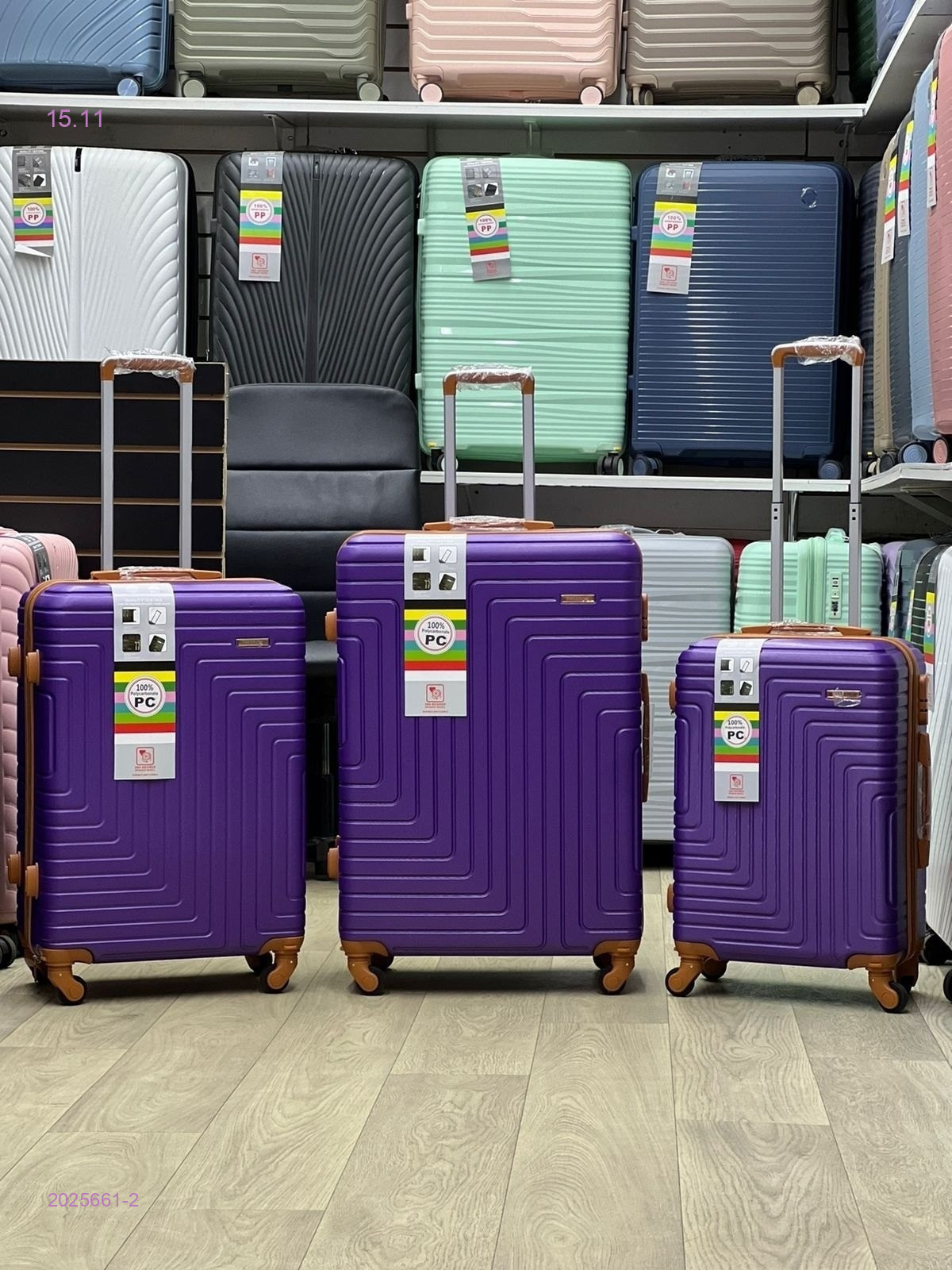 Чемодан 2025661-2