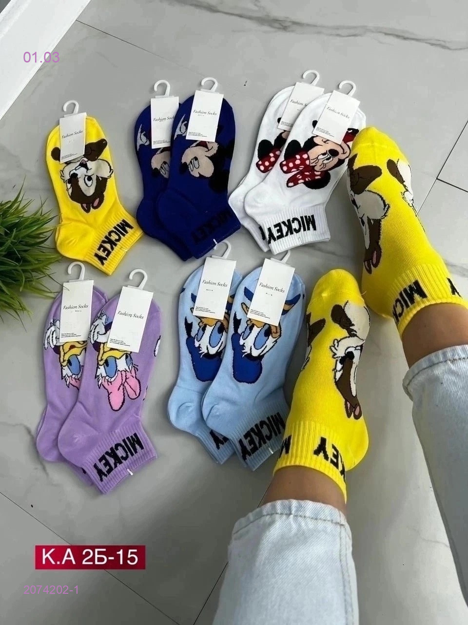 Носки женские 10 пар 2074202-1