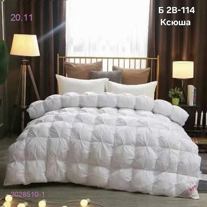 Пуховые одеяло 2028510-1