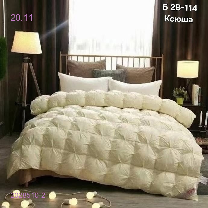 Пуховые одеяло 2028510-2