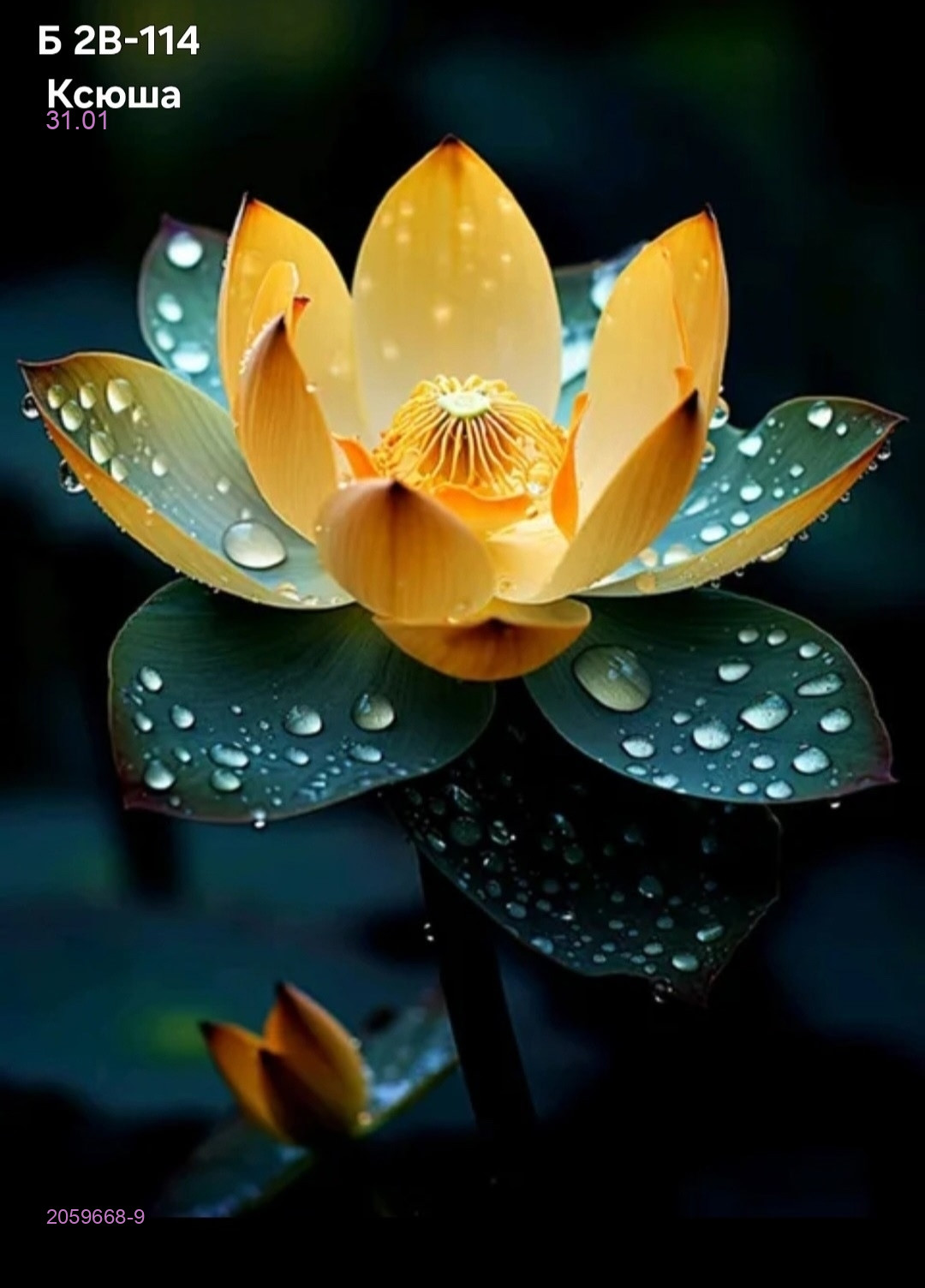 Нано коврик 2059668-9