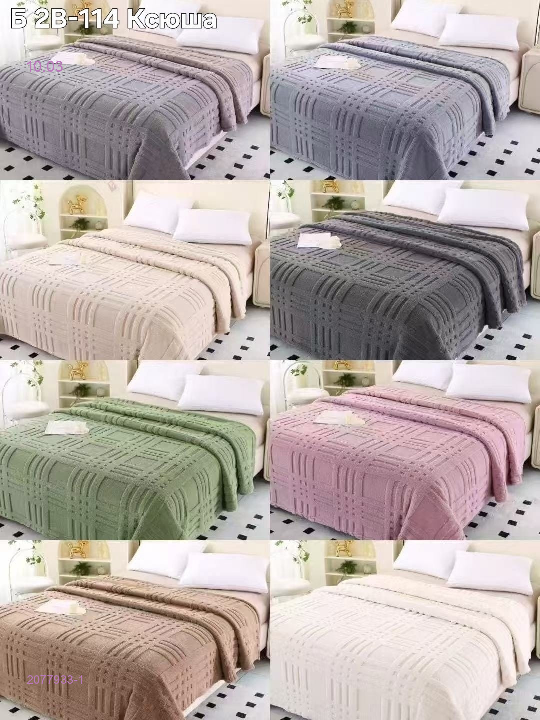 ПЛЕДЫ 2077933-1