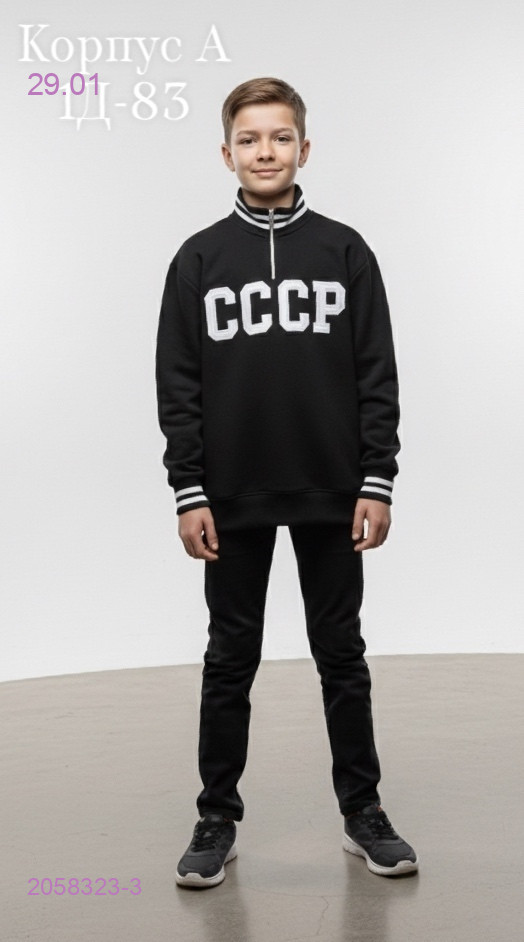 толстовка 2058323-3