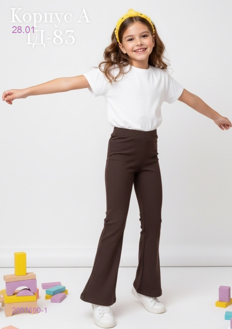 штаны 2057690-1