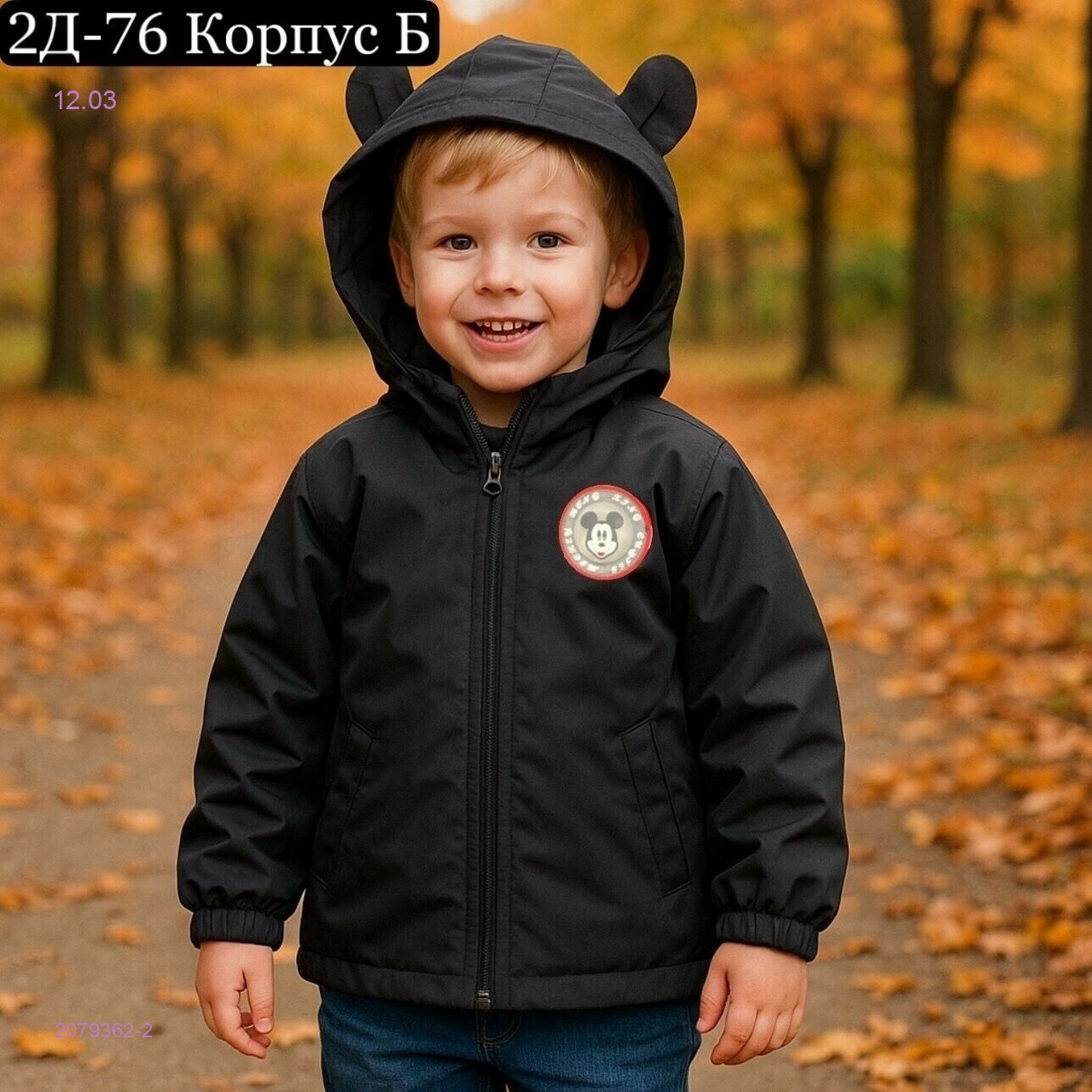 ветровка 2079362-2