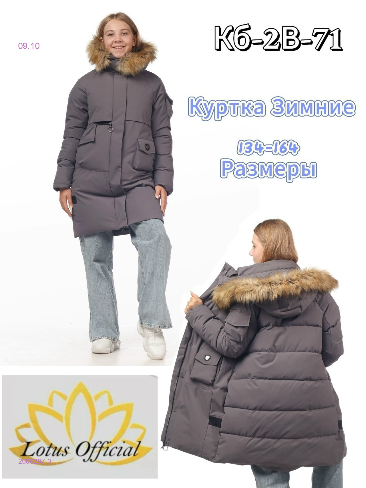Куртка ЗИМА 2006297-3