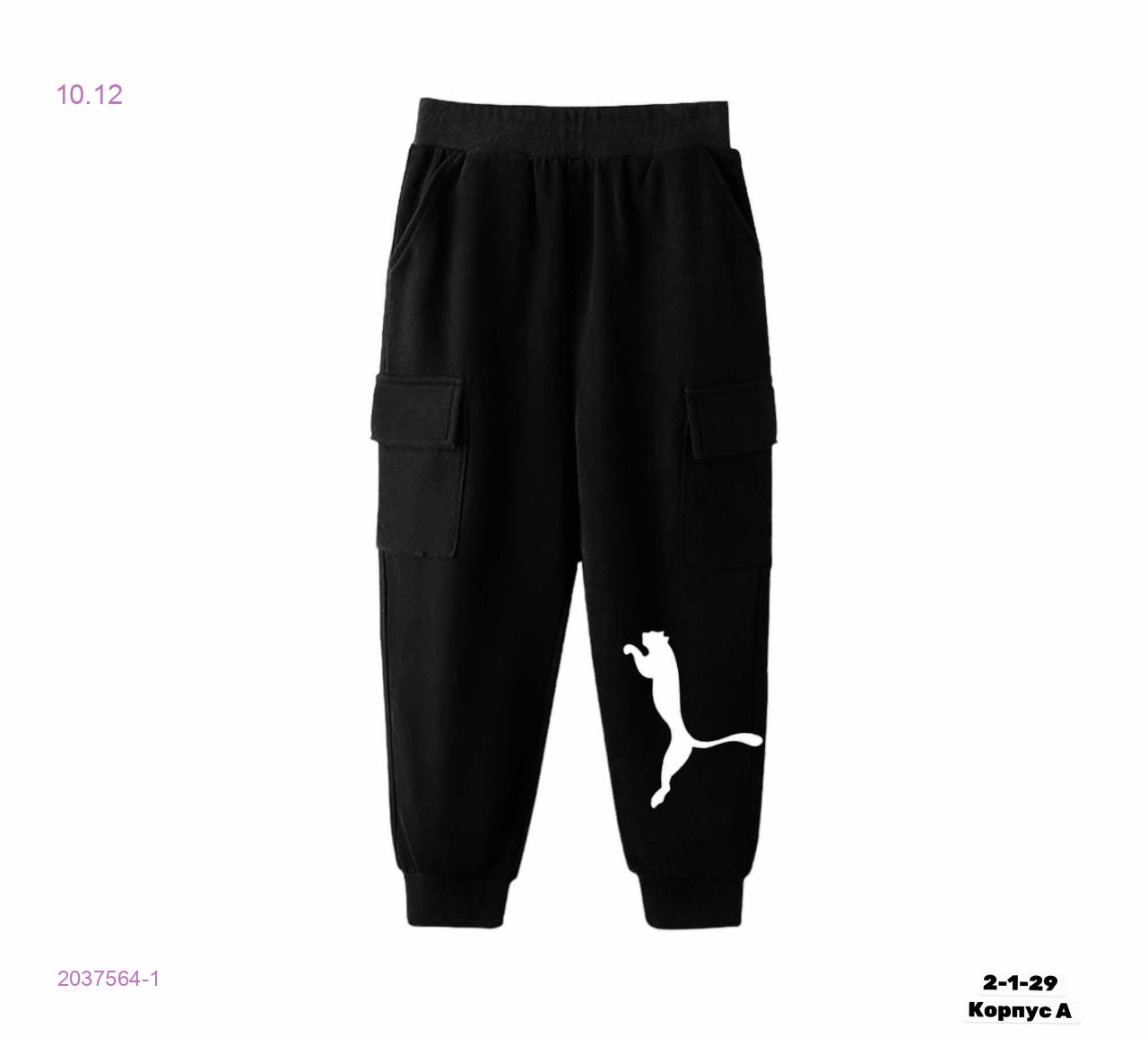 Штаны 2037564-1