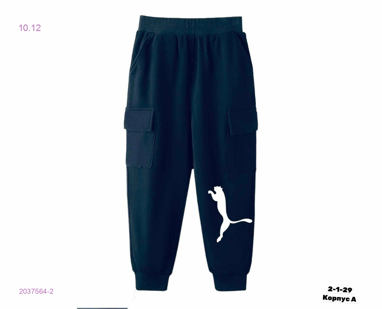 Штаны 2037564-2