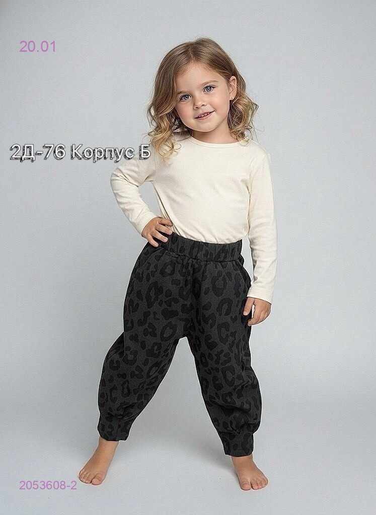 брюки 2053608-2