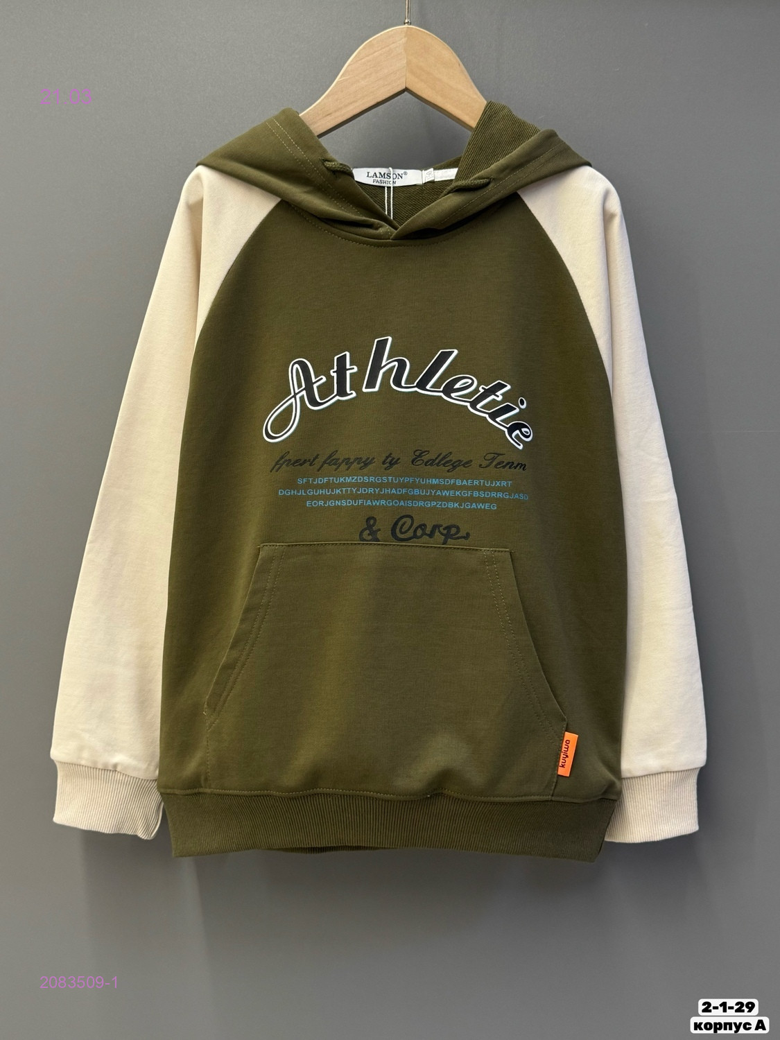 Худи 2083509-1