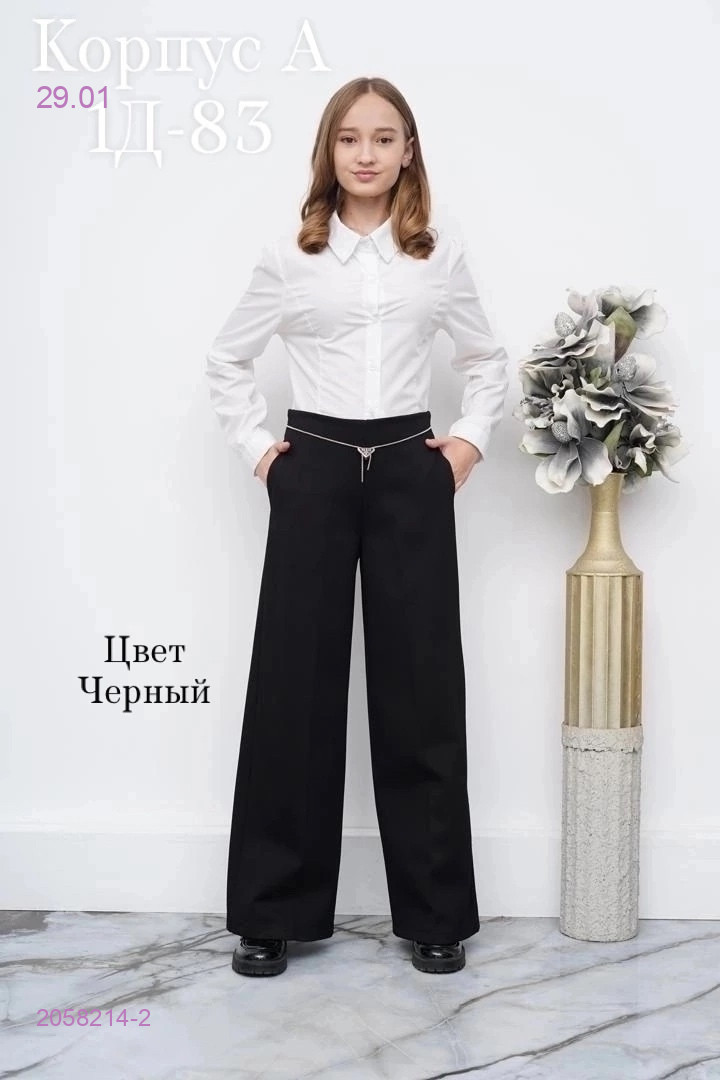 штаны 2058214-2