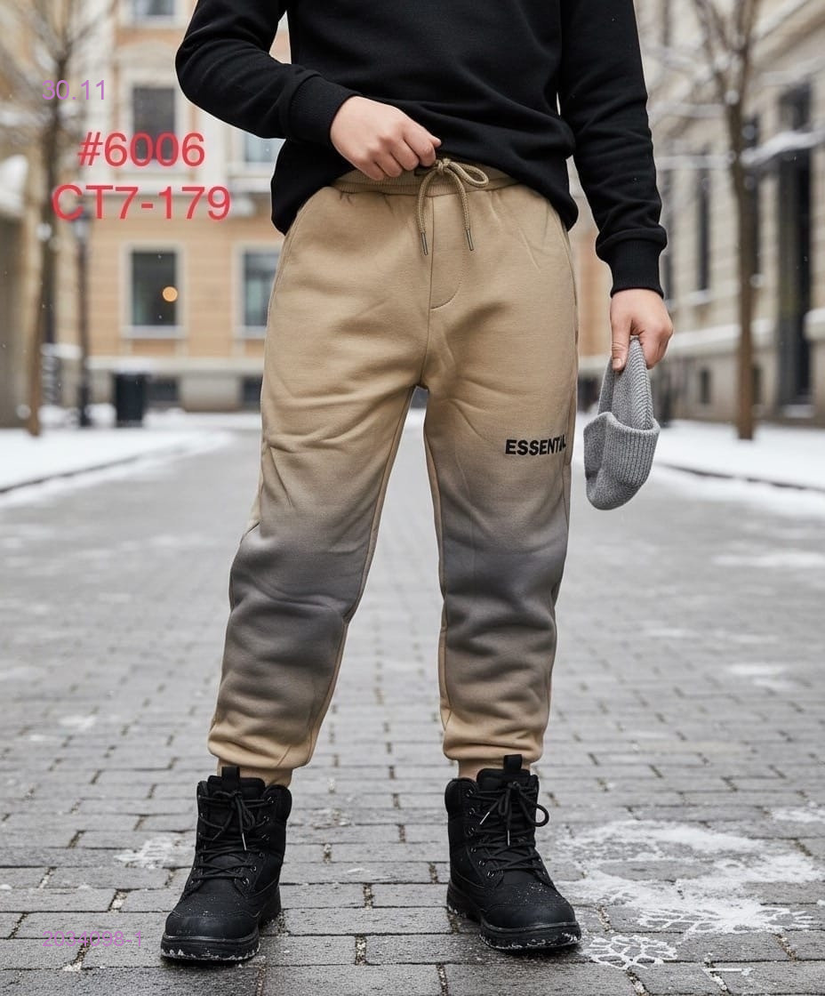 штаны с начесом 2034098-1