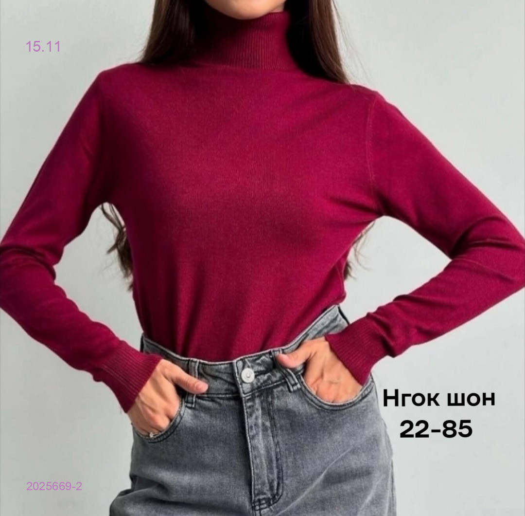 водолазка 2025669-2