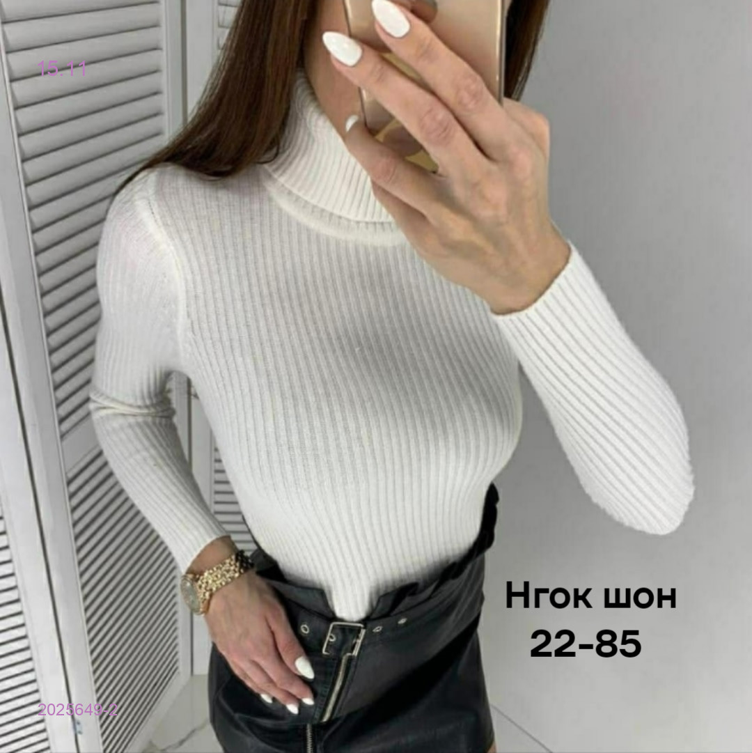 водолазка 2025649-2