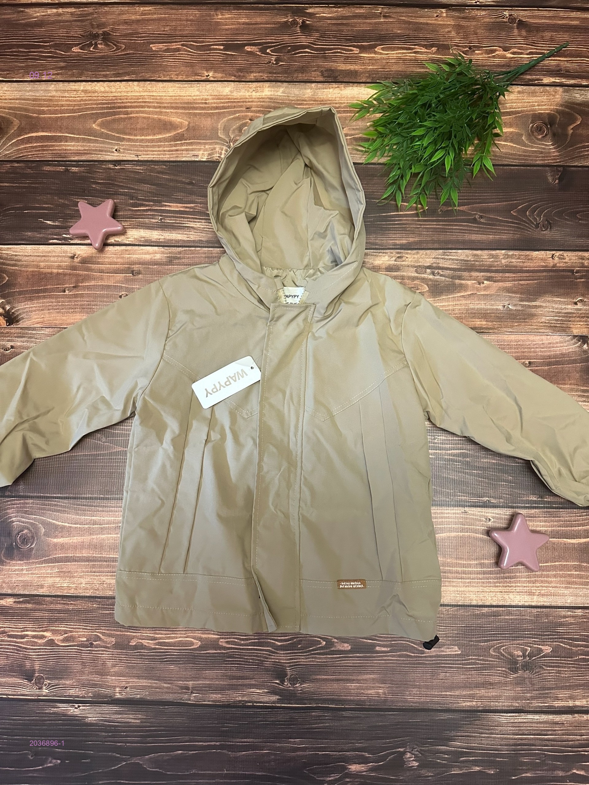 ветровка 2036896-1