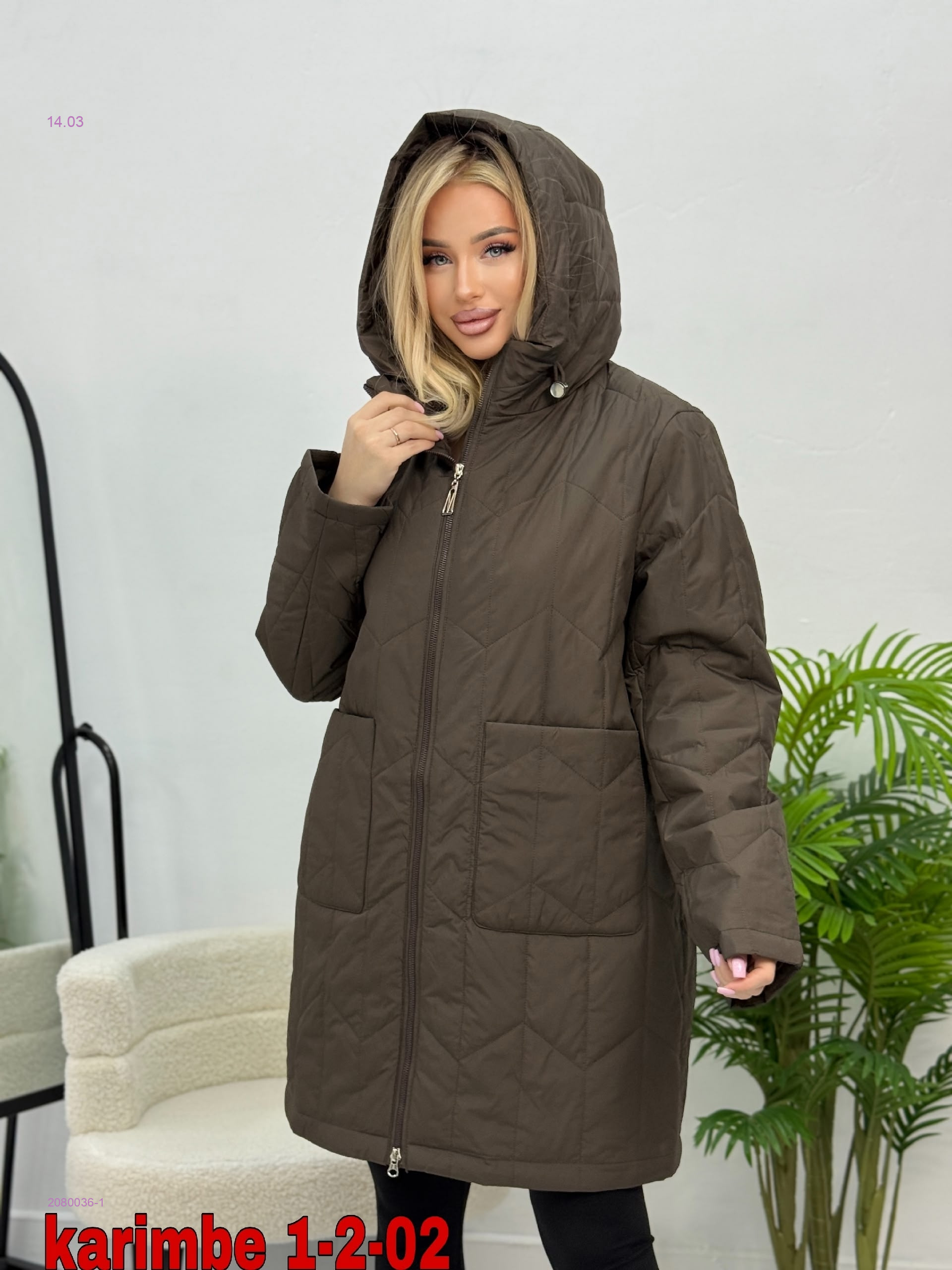 куртка весна 2080036-1