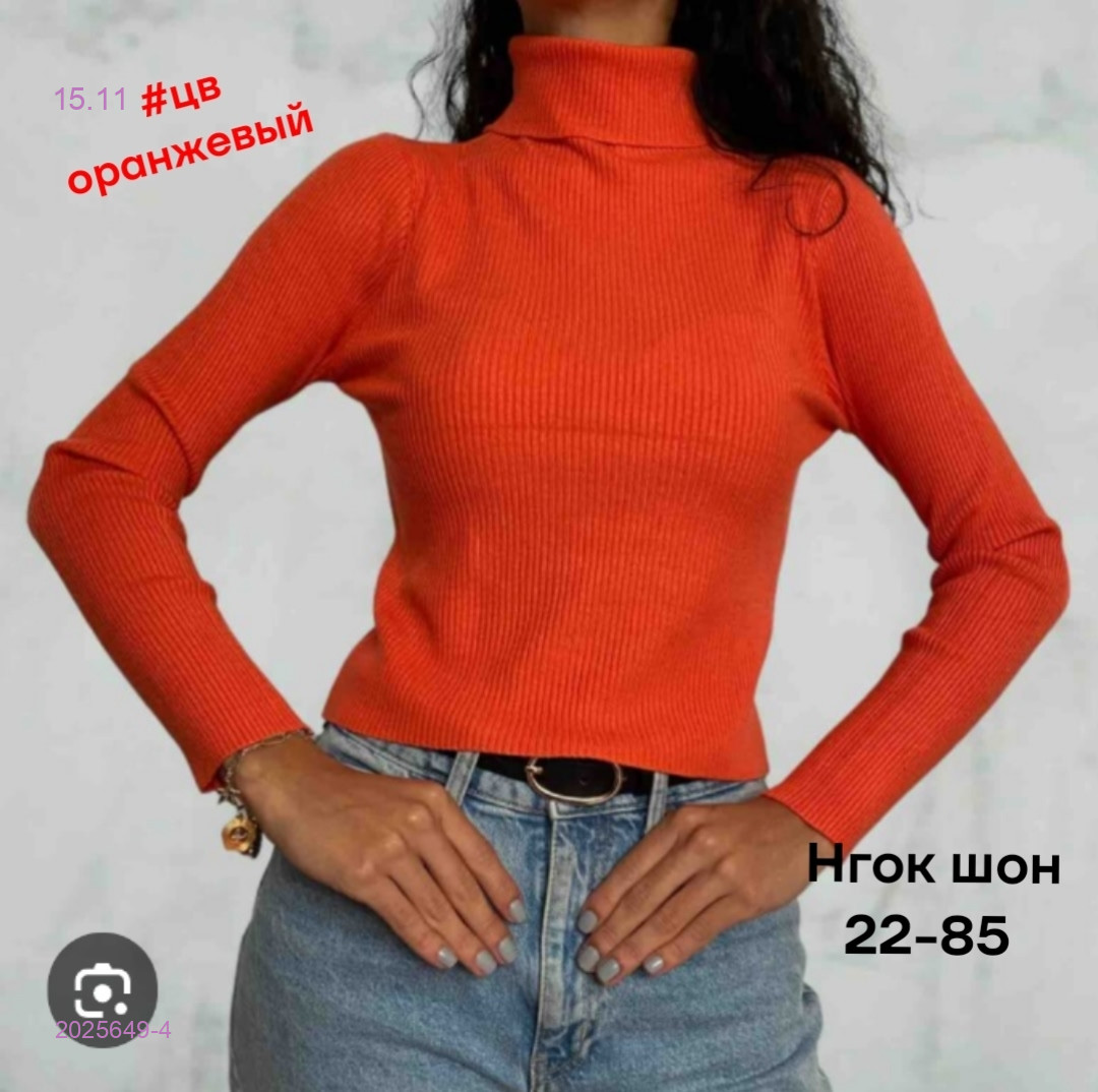 водолазка 2025649-4