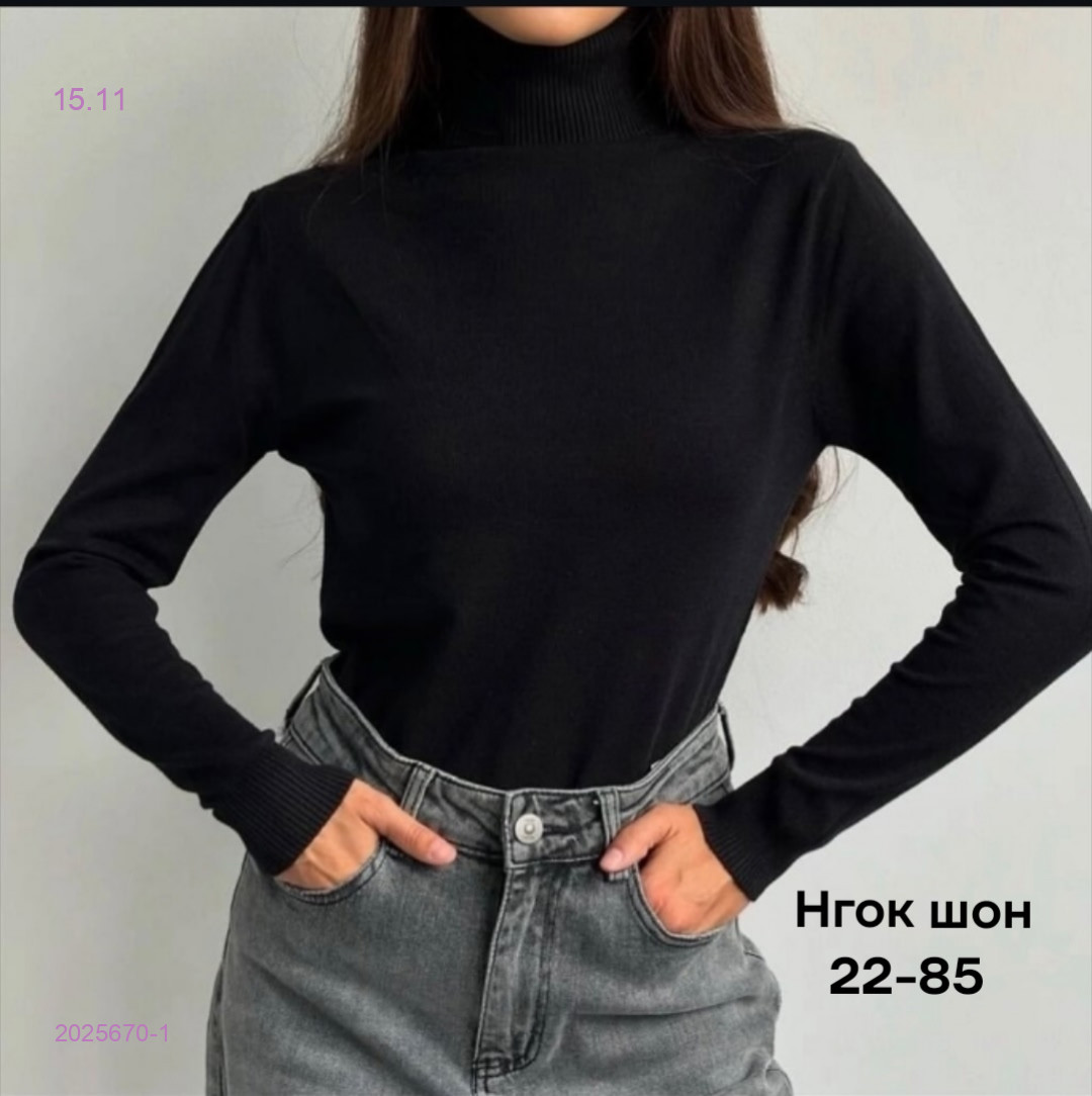 водолазка 2025670-1