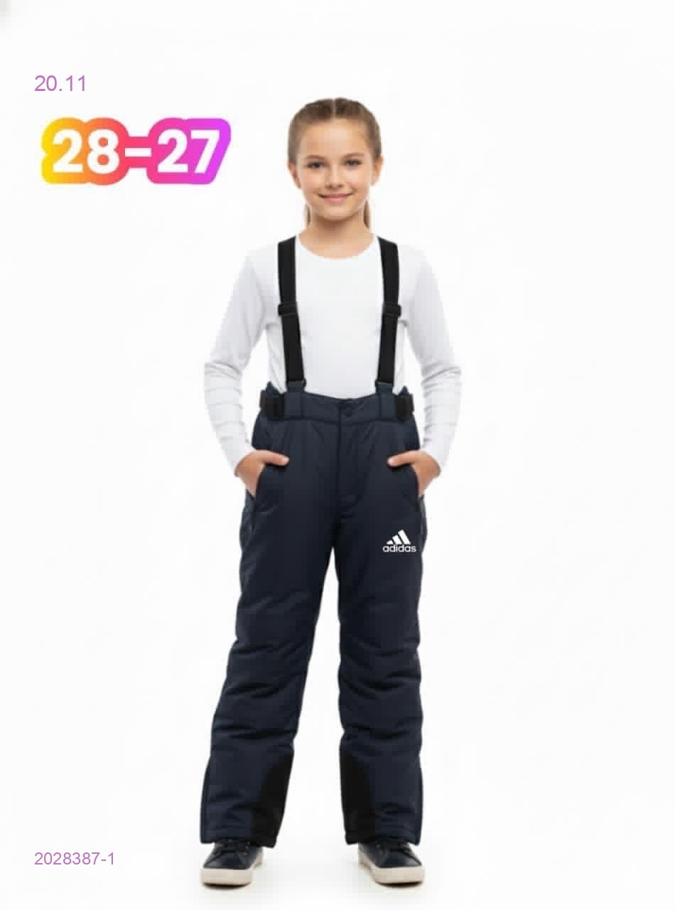 штаны зима 2028387-1