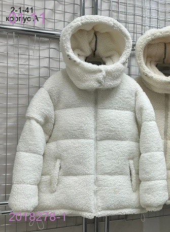 куртка зима 2018278-1