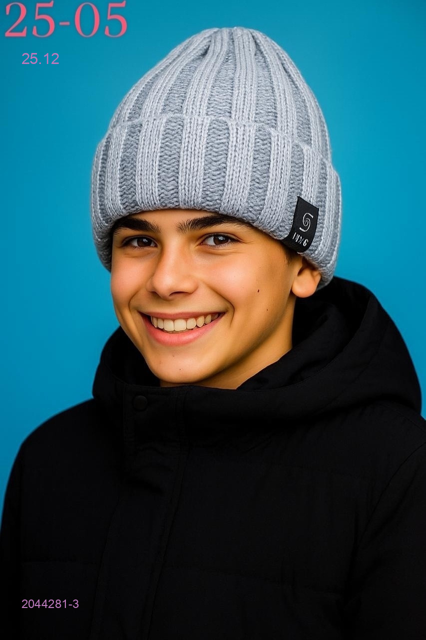 шапка 2044281-3