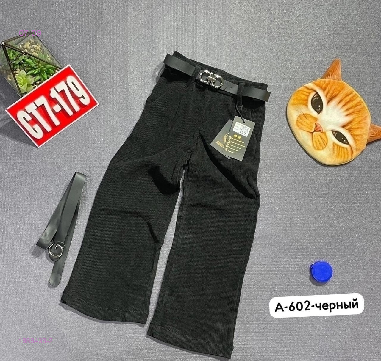 штаны 1989439-2