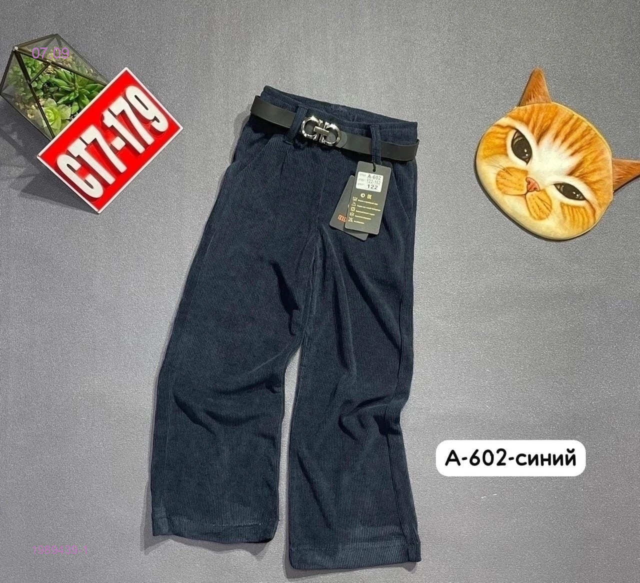 штаны 1989439-1