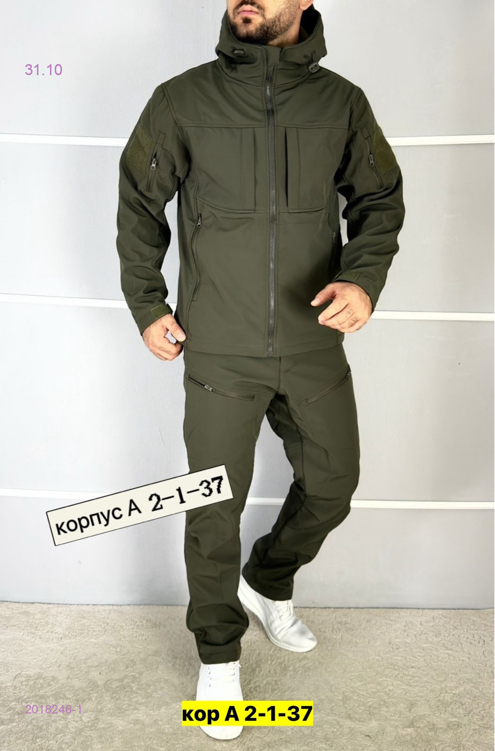 Костюм осень 2018246-1