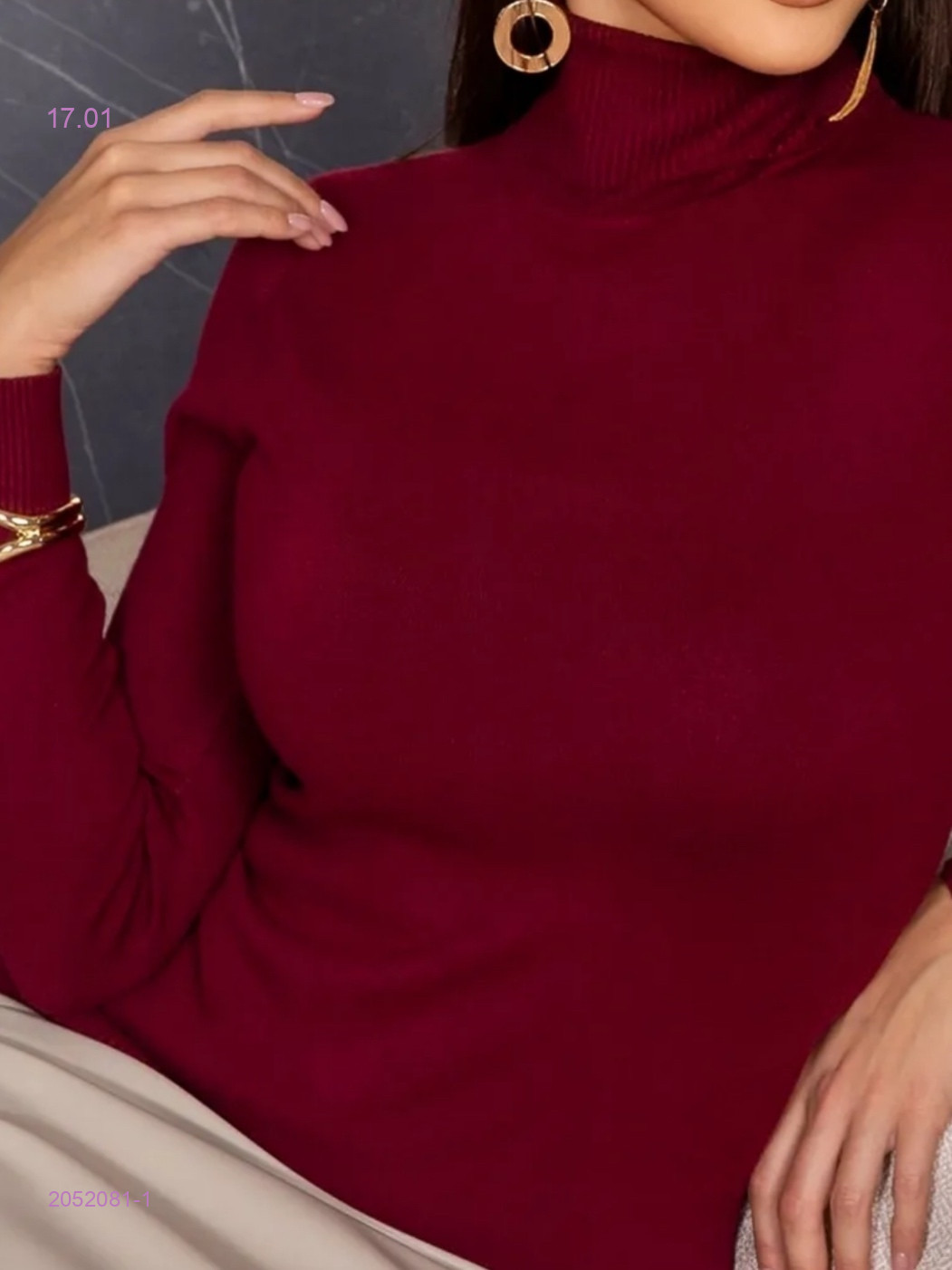 Водолазка 2052081-1