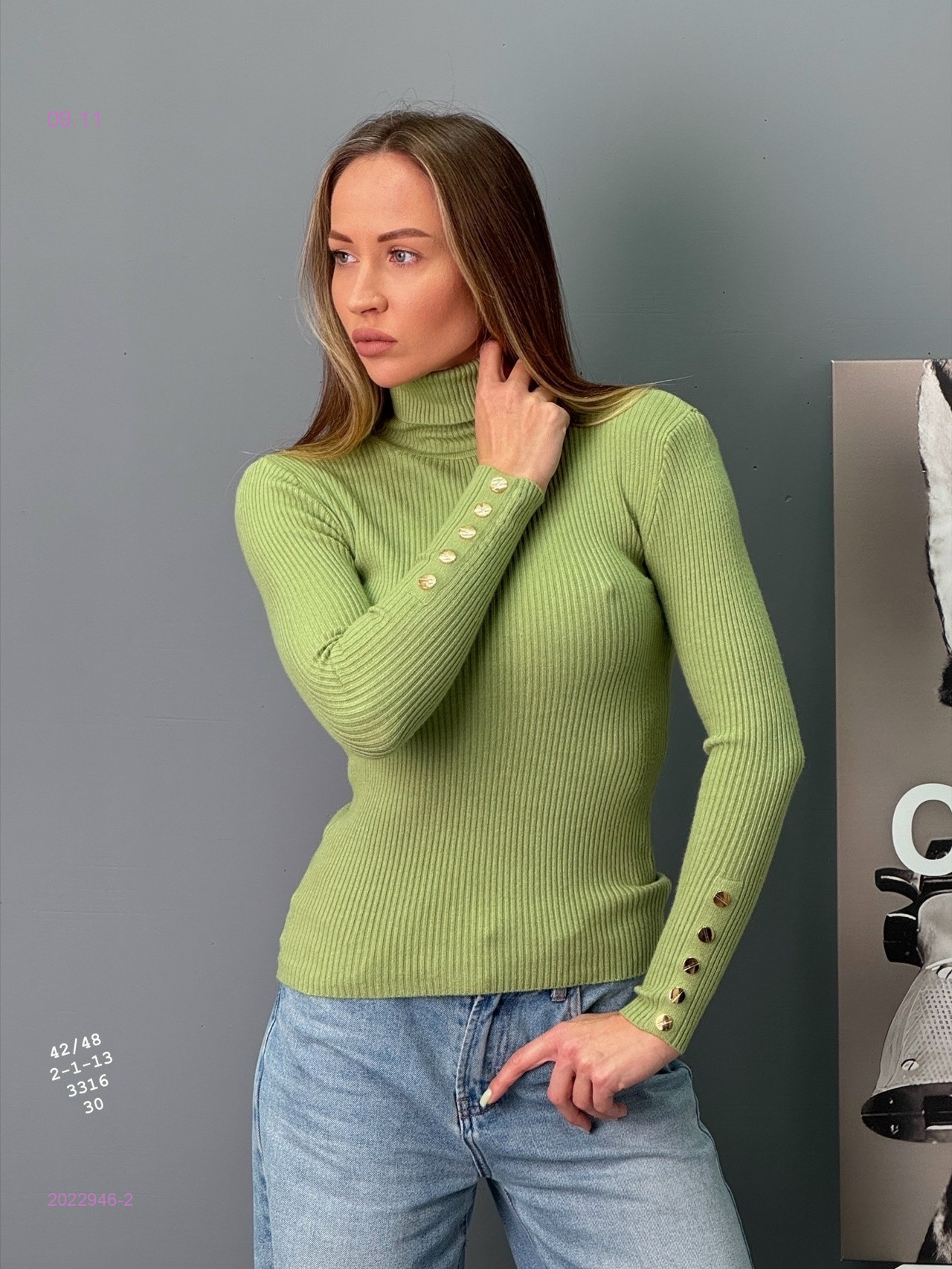 Водолазка 2022946-2